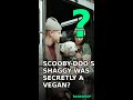 Scooby-Doo's Shaggy was secretly a vegan? #Shorts