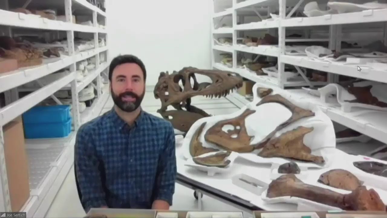 Science Division Live: SUE the T. rex