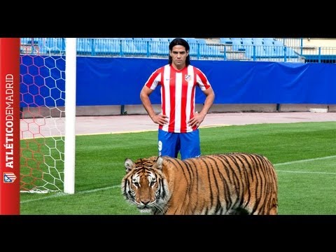 Un tigre anda suelto en el Vicente Calderón/ A tiger on the loose: Radamel Falcao
