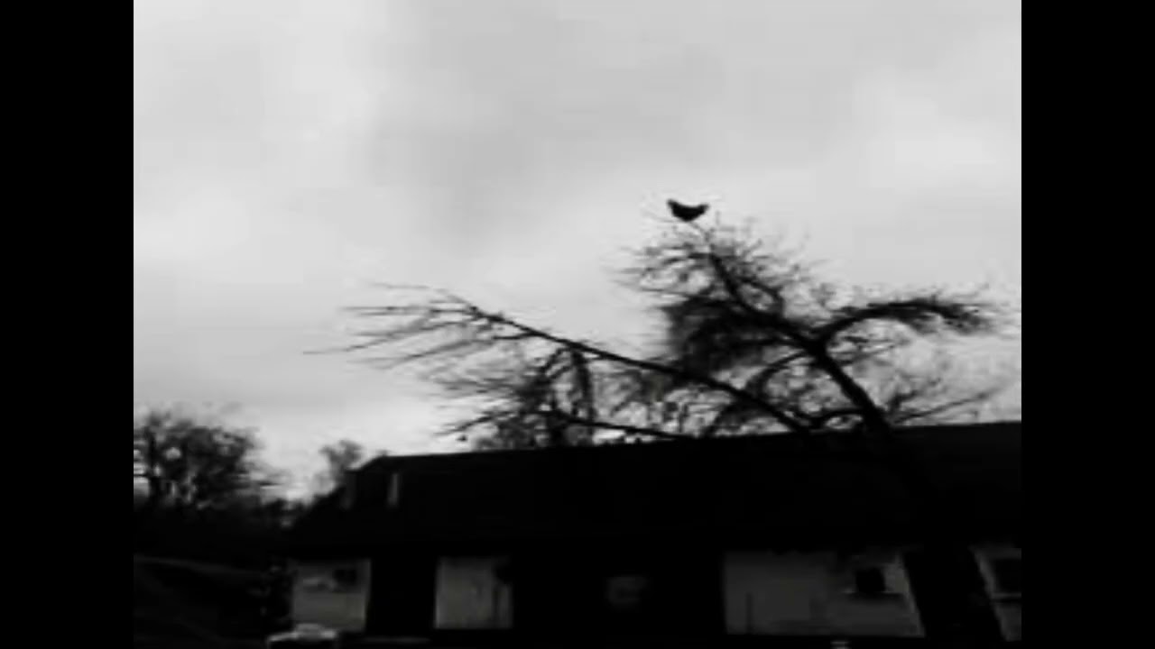 (FREE) Type Beat - "ACAB1312" | EsDeeKid x Yeat Type Beat | Jerk x Trap Type Beat (prod.wvrrxn!)