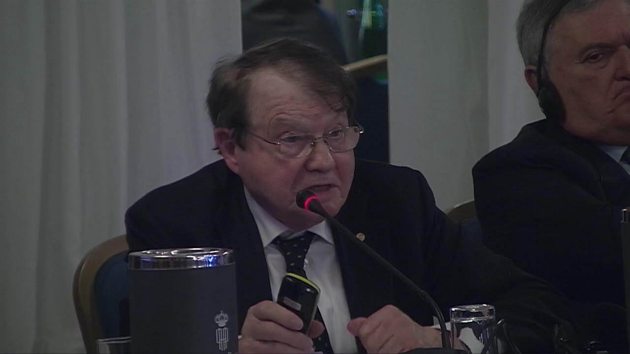 LUC MONTAGNIER traduzione in italiano  NEW FRONTIERS OF BIOLOGY   MARCH 2ND, 2018 ROME