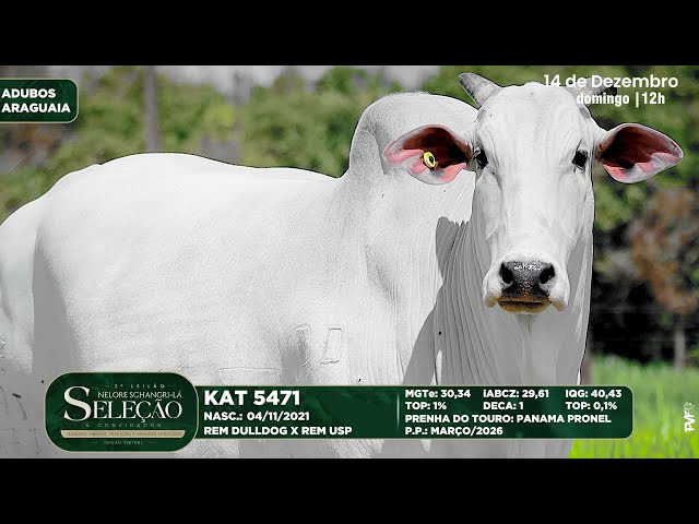 ADUBOS ARAGUAIA   KAT 6471