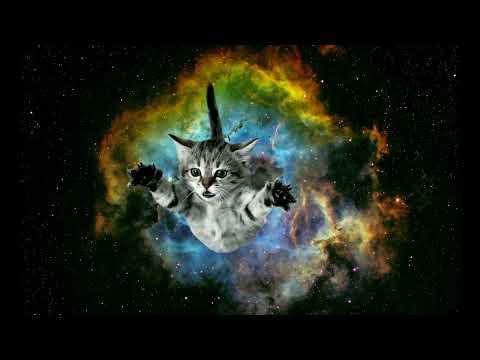 Space Cats — Magic Fly