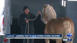Rural Colorado horse owners training to evacuate their animals in case of a wildfire
