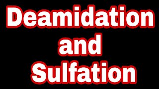 Deamidation and sulfation