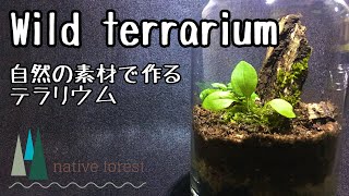 【Wild terrarium】自然採取素材で作るテラリウム