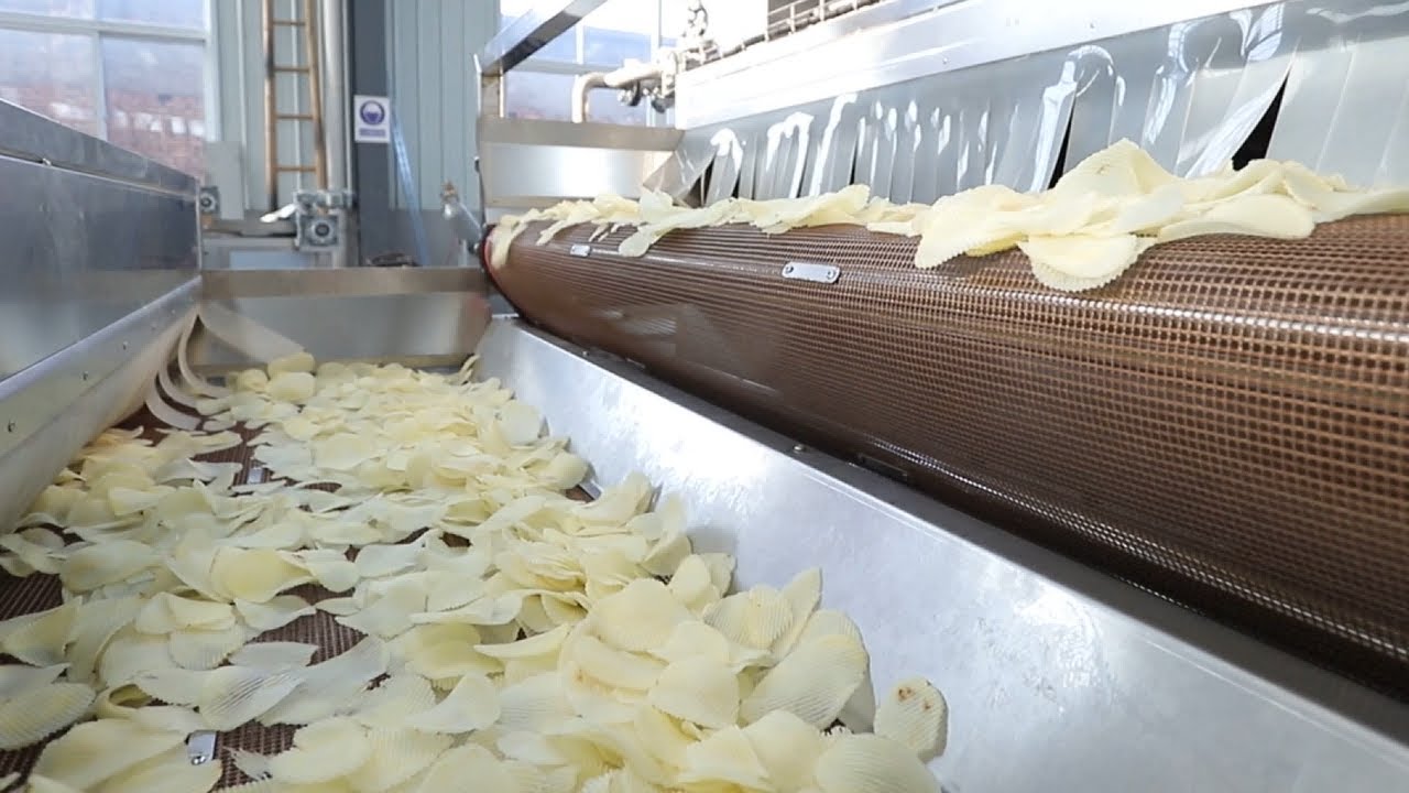 Potato Chips Peeling Slicing Washing Drying machine Dehydrator