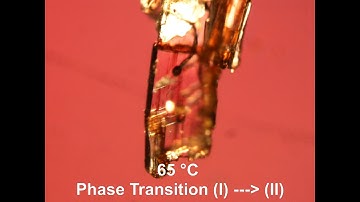 Polymorphism and phase transition