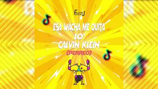 Esa Wacha Me Quita los Calvin Klein (Perreo) DeeJay FJ - TIKTOK SONG