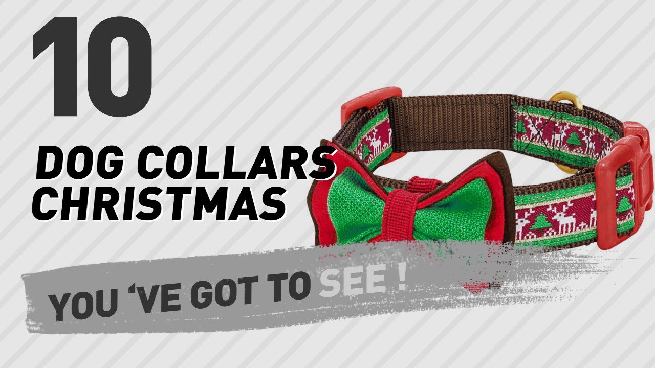 cats inn Dog Collars Christmas // Top 10 Most Popular
