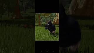 JL, leaks by Noyo (Noah) #jungleliferoblox