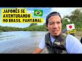 Japonês se aventurando no Brasil, Pantanal