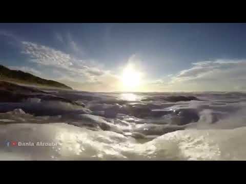 حالات واتس بمنابسة المولد النبوي الشريف وائل جسار في حضرة المحبوب