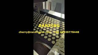 Ranxing Soft Biscuit Making Machine And Baking Oven screenshot 4