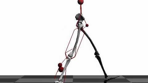 WH walking with muscles