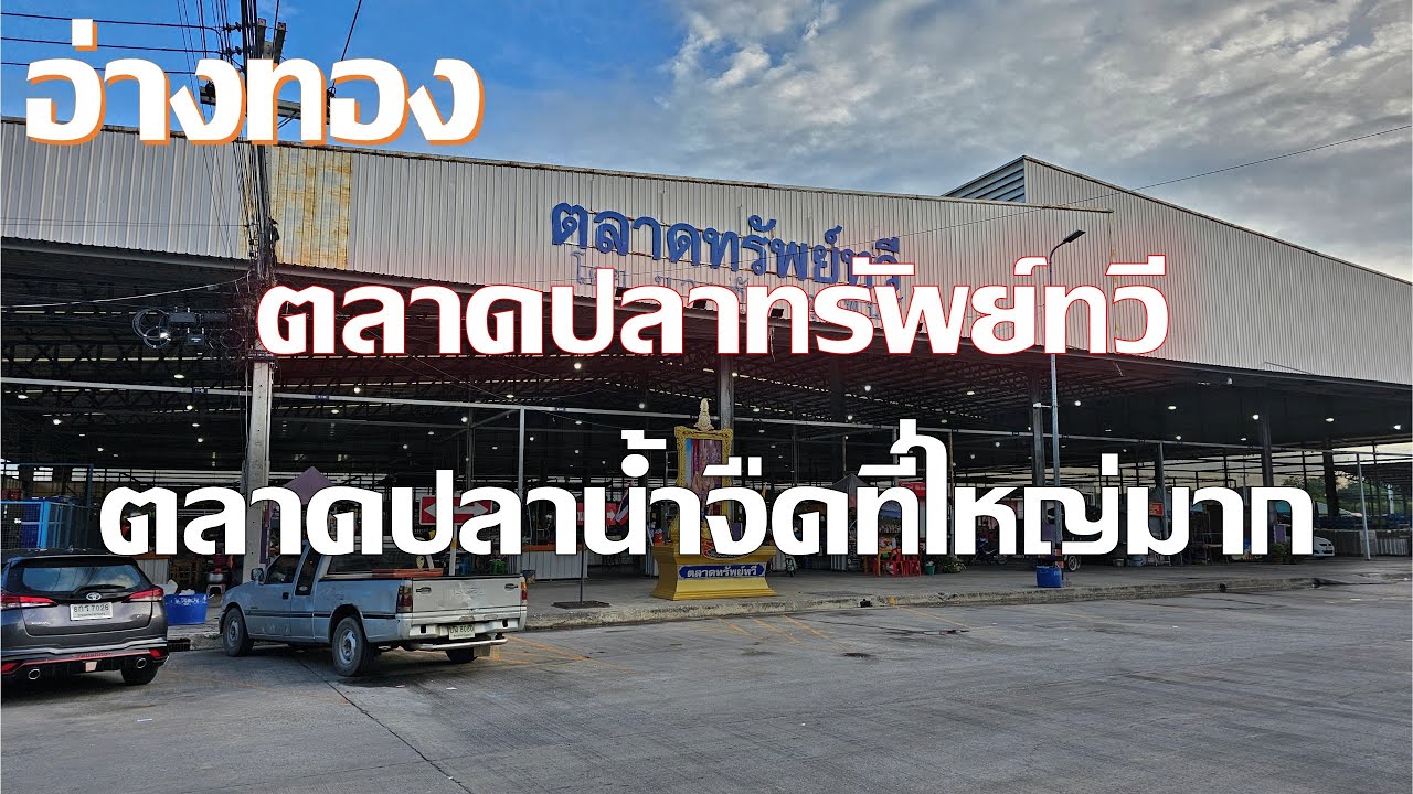 ตลาดปลาทรัพย์ทวี อ่างทอง ตลาดปลาน้ำจืดที่ใหญ่มาก ๆ ที่เคยเห็นมาเลย