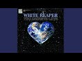 White Reaper - You Deserve Love (Lyrics)