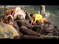 Budhanilkantha Temple - Sleeping Lord Vishnu - Nepal