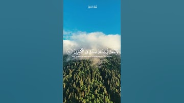 :📖 سورة الشعراء كاملة | تلاوة خاشعة تريح القلب وتبكي العين # قرآن كريم