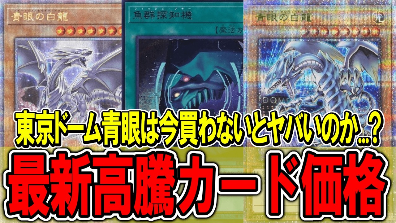 遊戯王】東京ドーム青眼、買うなら今がラストチャンスなのか！？遊戯王
