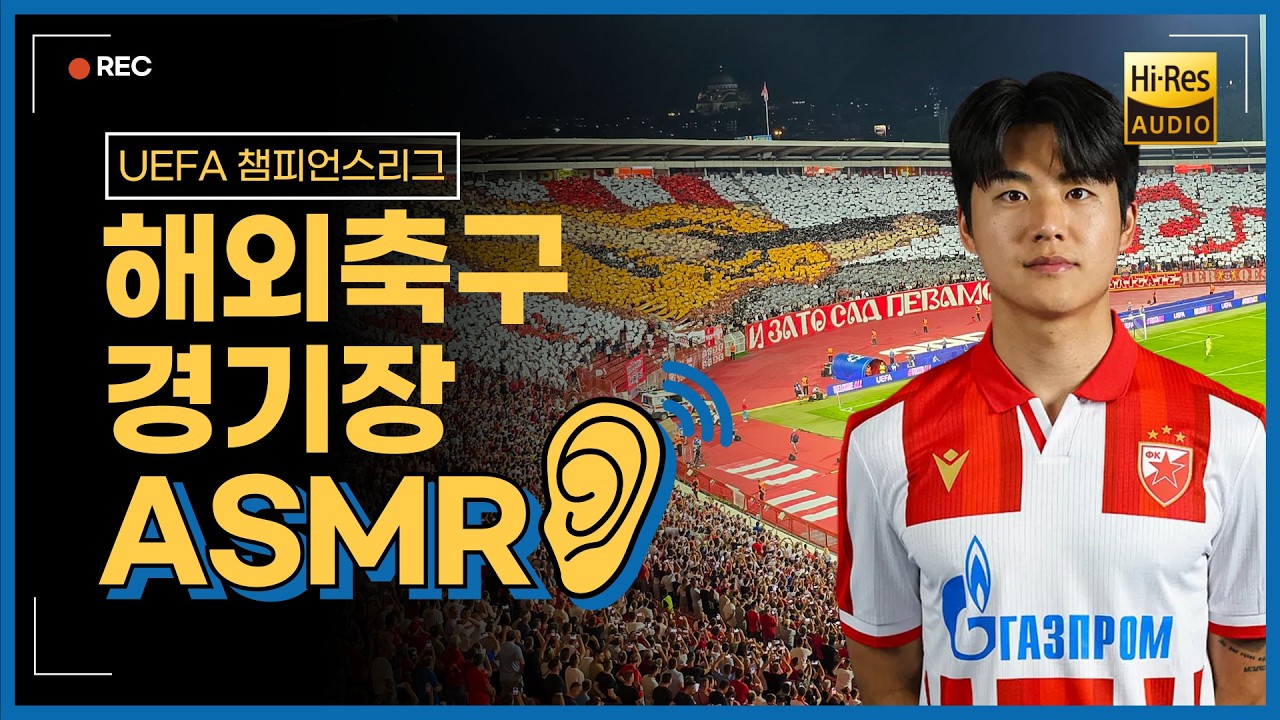 [초고음질] '설영우 출전' UEFA 챔피언스리그 현장감 300% ASMR (츠르베나즈베즈다-파포스)