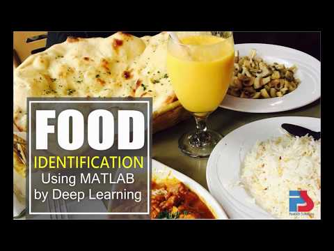 FOOD IDENTIFICATION