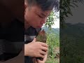 CÅ Ng Già N NhÆ Ng Nà LẠLẠM Bushcraft Duet Camping Satisfying Food Shors CÅ Ng Già N NhÆ Ng Nà LẠLẠM Bushcraft Duet Camping Satisfying Food Shors