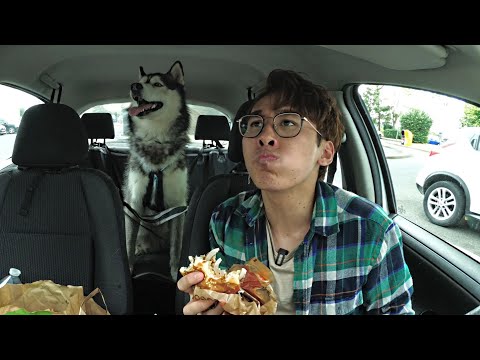 UN HUSKY & UN HOMME AU MCDRIVE EN VOITURE (Le meilleur de la connerie !)