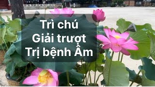 Download Lagu Trì chú trị bệnh âm và giải trượt - Vấn Đáp Tâm Linh MP3 Download Lagu Trì chú trị bệnh âm và giải trượt - Vấn Đáp Tâm Linh MP3