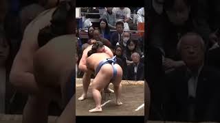 Ryuden VS Tubizaru Hatsu Basho 2026 Sumo #japan #сумо #mma #sumo #япония #ufc #wwe #sport #борьба