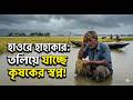 পাহাড়ি ঢলে ভাসছে হাওরের স্বপ্ন: সুনামগঞ্জ ও নেত্রকোনার বোরো চাষিদের আর্তনাদ! #হাওর #নেত্রকোনা #কৃষক