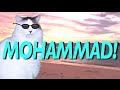 HAPPY BIRTHDAY MOHAMMAD! - EPIC CAT Happy Birthday Song