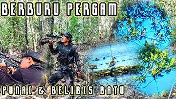 BERBURU BURUNG PERGAM,PUNAI & BELIBIS BATU‼️MASIH DI SEKITARAN HUTAN BAKAU PESISIR PANTAI‼️