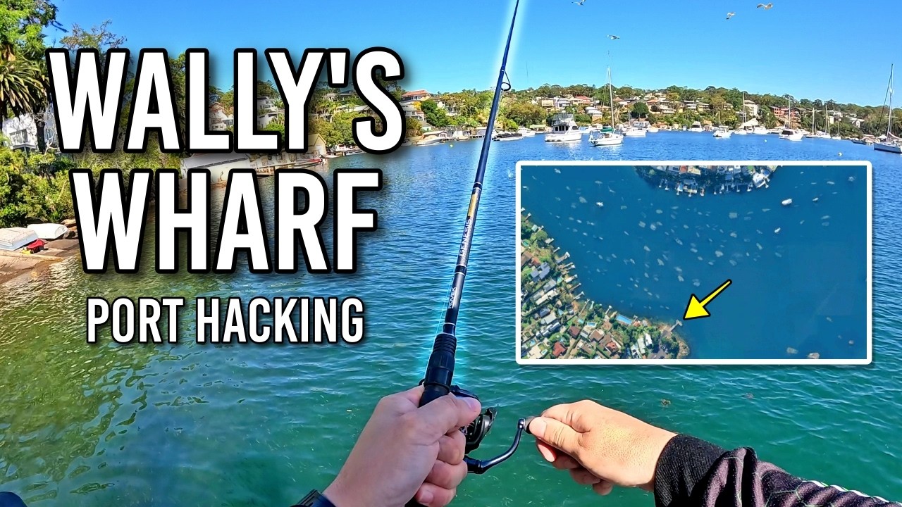 Что скрывается на пристани Уолли в Порт-Хэкинге?