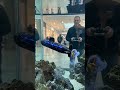Deep Sea Submarine with Glowing Lights