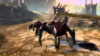 NEVERWINTER - Founders Pack Trailer [HD]