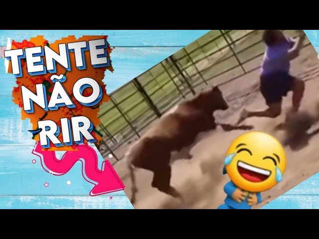 memes engraçados do whatsapp 2022｜Pesquisa do TikTok