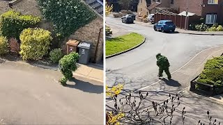 Британец Прикинулся Кустом Ради Выхода Из Дома В Карантин