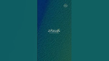 وقالوا الحمد لله الذي صدقنا وعده بصوت القارئ شريف مصطفى || سورة الزمر