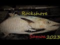 Rockshore fishing samoa first cast with malosi lure 2023