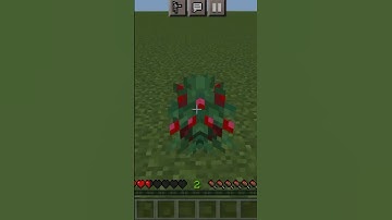 Minecraft logic (Part-6) #minecraft #shorts #short #minecraftshort