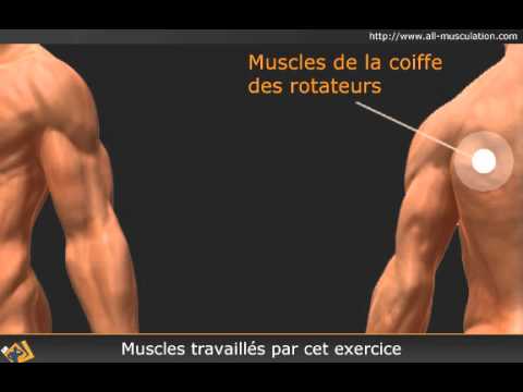 Douleur Coiffe Des Rotateurs, Rupture Et Traitement