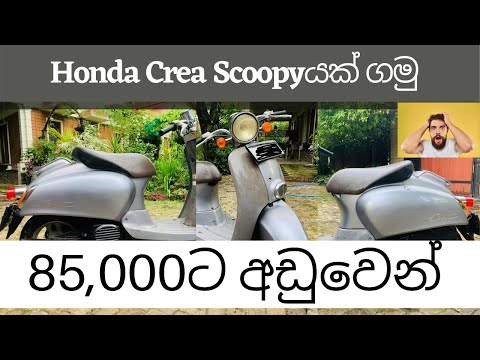 Video Honda Crea Scoopy 50ccයක් ගමු || Honda Crea Scoopy... - youtube