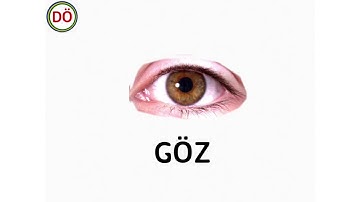 Turkish Flashcards 7