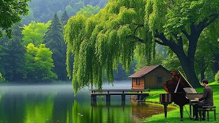 Obras-primas da música clássica para relaxar o coração e a alma | Mozart, Beethoven, Chopin, Bach