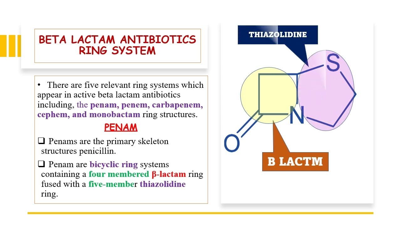 Beta Lactam Antibiotics || Penam Cepham Carbpenam || Medicinal Chemistry