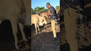 We shall have another video next weekend. This past weekend I was at the CattlePost #cattleranch