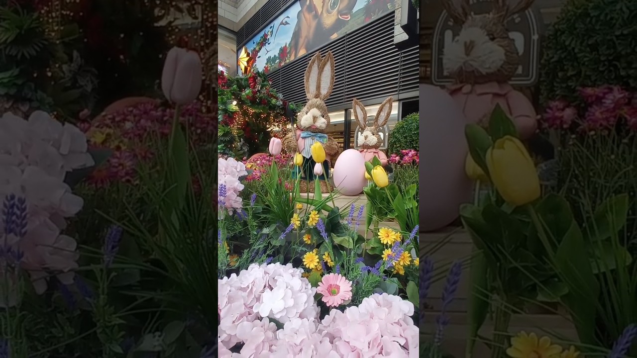 happy Easter everyone 