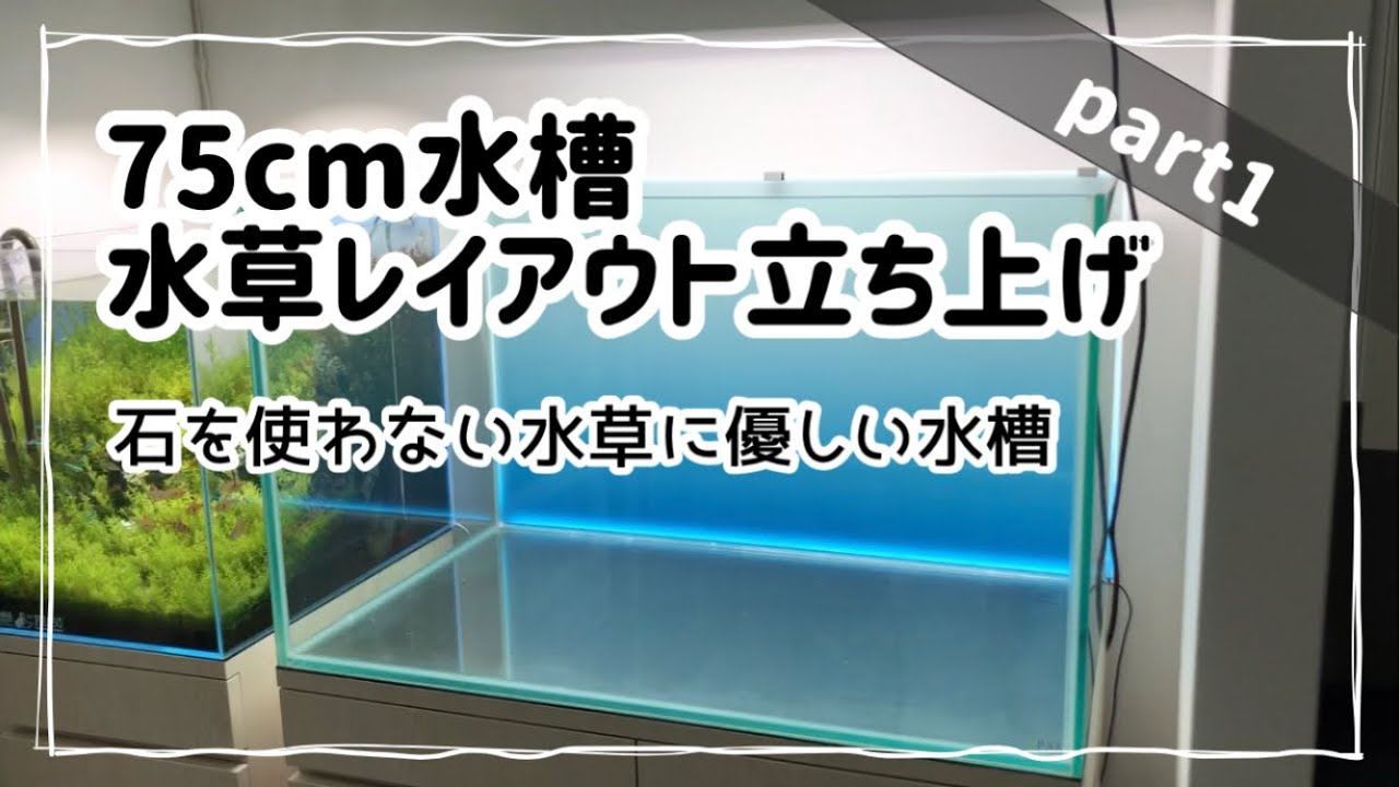 part1】75cm水草レイアウト立ち上げ〜1ヶ月 - YouTube