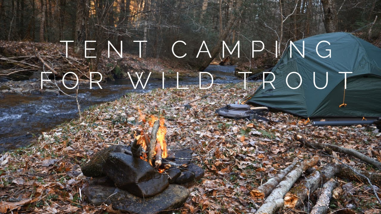 WILDERNESS TROUT SERIES PART I - PA SMALL STREAM FLY FISHING